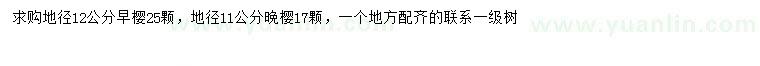 求購地徑11、12公分早櫻