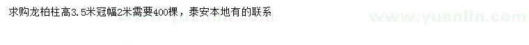 求購(gòu)高3.5米龍柏