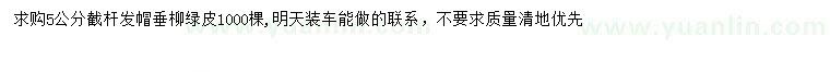 求購5公分垂柳