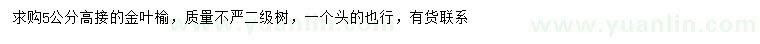 求購(gòu)5公分高接金葉榆