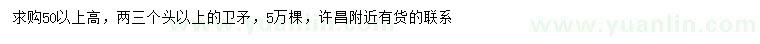 求購高50公分以上衛(wèi)矛