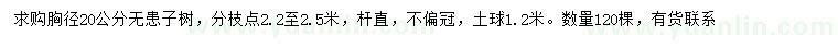 求購胸徑20公分無患子