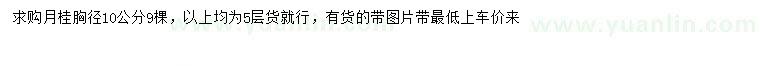 求購胸徑10公分月桂