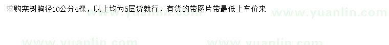 求購胸徑10公分欒樹