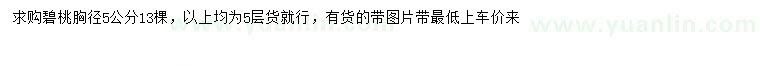 求購(gòu)胸徑5公分碧桃