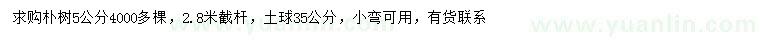 求購5公分樸樹