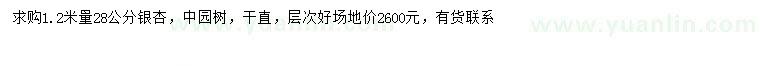 求購1.2米量28公分銀杏