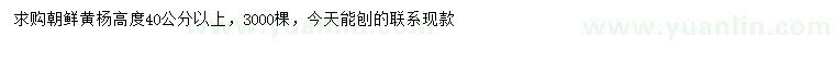 求購高40公分以上朝鮮黃楊