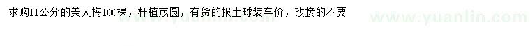 求購(gòu)11公分美人梅