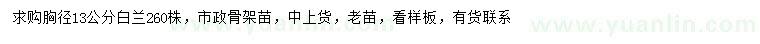 求購胸徑13公分白蘭