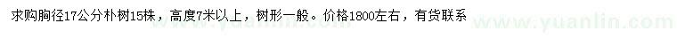 求購胸徑17公分樸樹