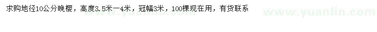 求購地徑10公分晚櫻