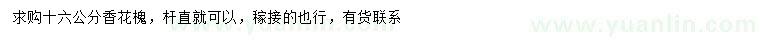 求購16公分香花槐