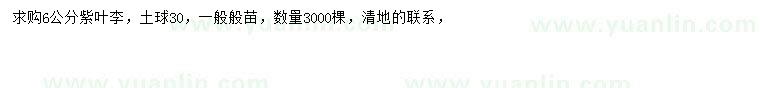 求購6公分紫葉李