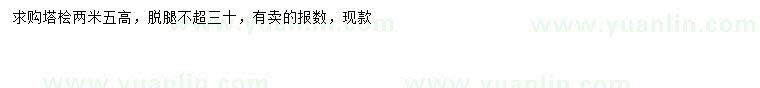 求購高2.5米塔檜