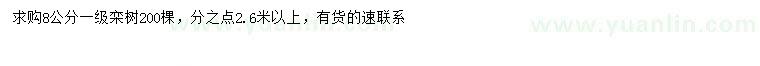 求購8公分欒樹