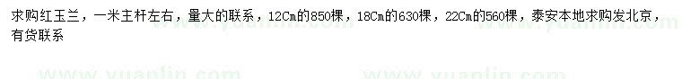 求購12、18、22公分紅玉蘭