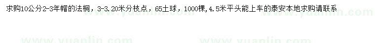 求購10公分法桐