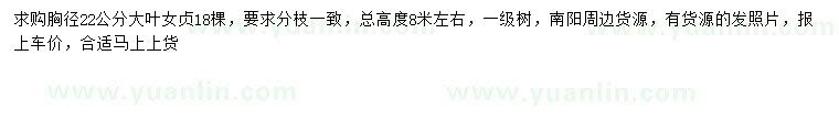 求購胸徑22公分大葉女貞