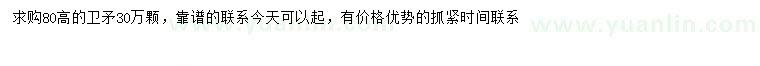 求購高80公分衛(wèi)矛