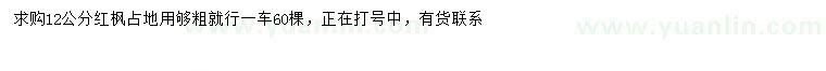 求購12公分紅楓