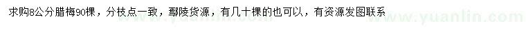 求購8公分臘梅