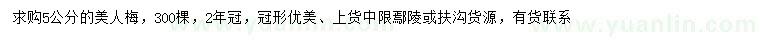 求購5公分美人梅