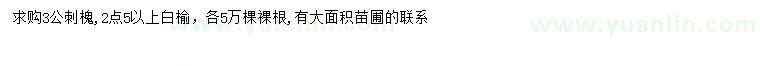 求購3公分刺槐、2.5公分以上白榆