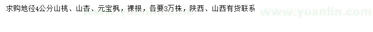 求購山桃、山杏、元寶楓