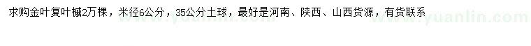 求購米徑6公分金葉復葉槭