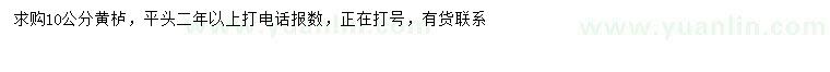 求購10公分黃櫨