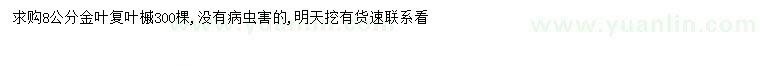 求購8公分金葉復(fù)葉槭