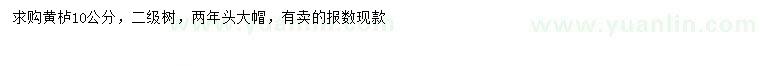 求購10公分黃櫨