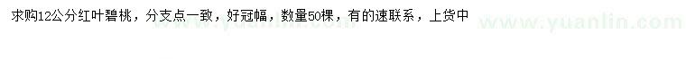 求購12公分紅葉碧桃