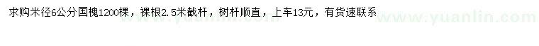 求購米徑6公分國槐