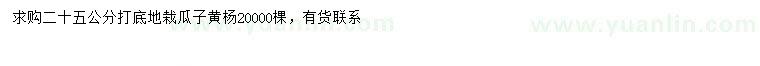 求購(gòu)25公分以上瓜子黃楊