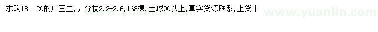 求購18-20公分廣玉蘭