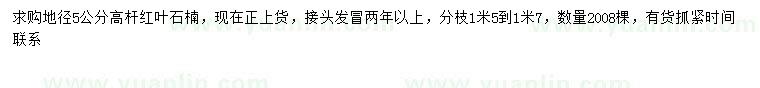 求購地徑5公分高桿紅葉石楠