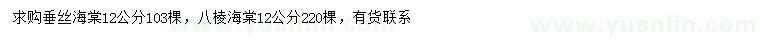 求購12公分垂絲海棠、八棱海棠