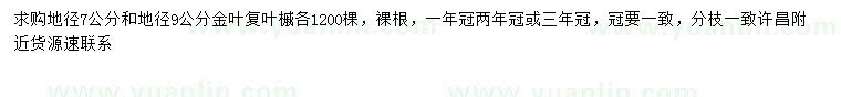 求購地徑7、9公分金葉復(fù)葉槭