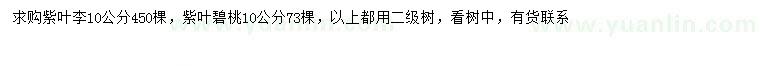 求購10公分紫葉李、紫葉碧桃