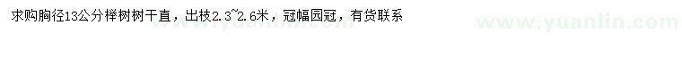 求購胸徑13公分櫸樹