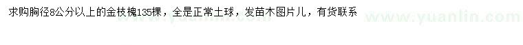求購胸徑8公分以上金枝槐