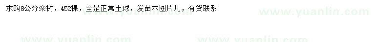 求購8公分欒樹