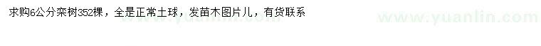求購6公分欒樹