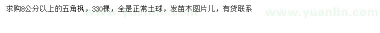 求購8公分以上五角楓