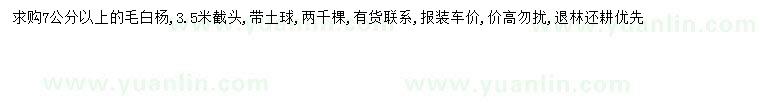 求購7公分以上毛白楊