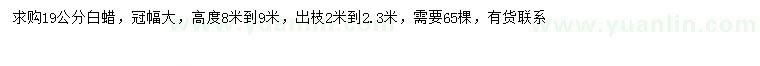 求購19公分白蠟