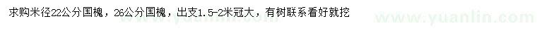 求購米徑22、26公分國槐