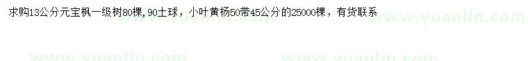 求購13公分元寶楓、45、50公分小葉黃楊